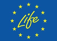 Logotyp Life