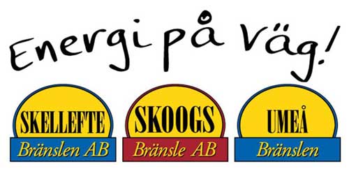 Logotyp Skoogs