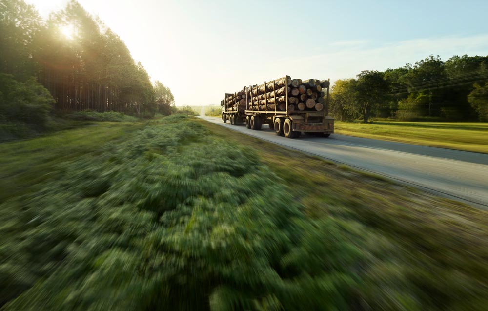 Truck transporting wood